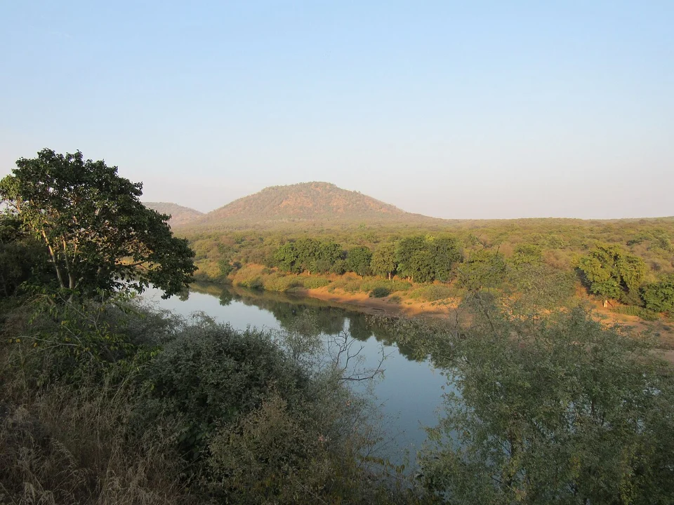 कूनो नदी और आसपास के भू-दृश्य की फाइल तस्वीर।